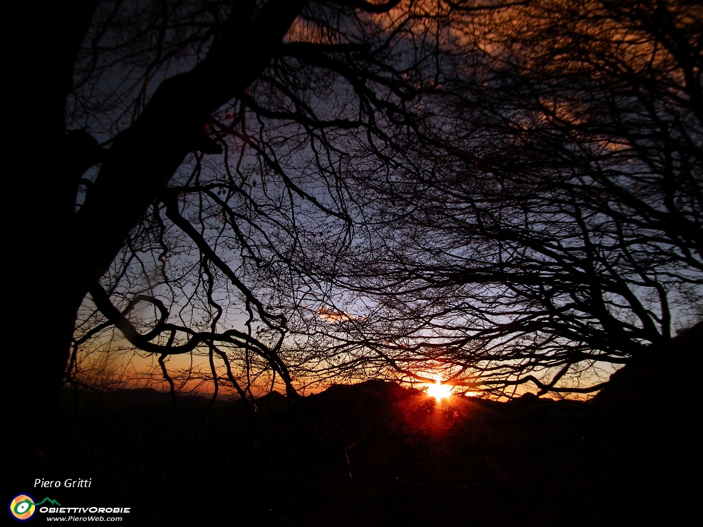 79 tramonto tra i faggi....JPG